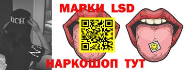молекула духа Новозыбков