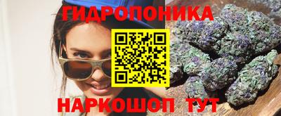 трава Новодвинск