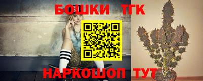 молекула духа Новозыбков