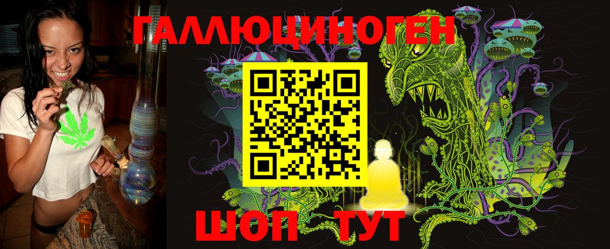 Галлюциногенные грибы Psilocybe Отрадное